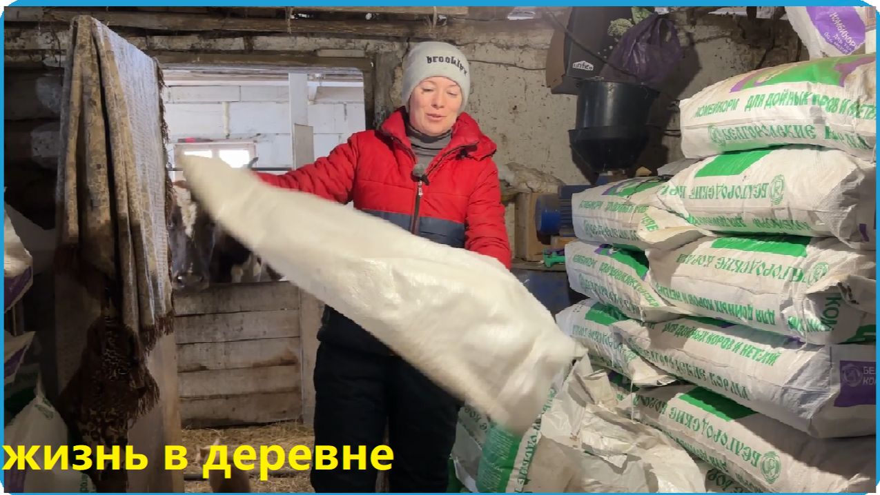 КОРМИМ ХОЗЯЙСТВО И БОРИМСЯ СО СНЕГОМ, ЖИЗНЬ В ДЕРЕВНЕ смотреть онлайн