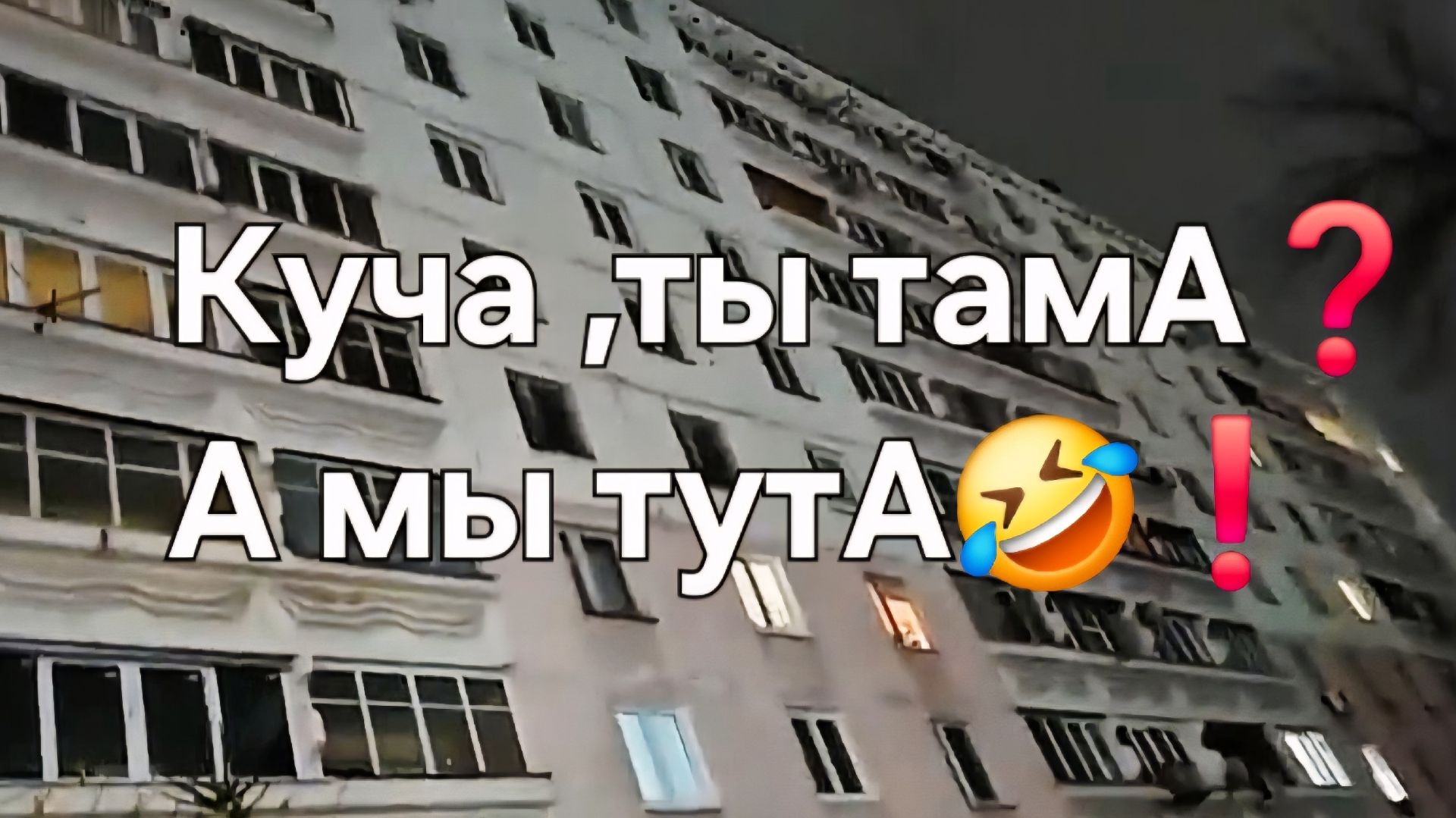 Куча, ты тама❓А мы тута🤣❗ смотреть онлайн