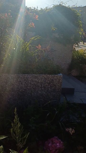 Цветы у библиотеки имени Ленина смотреть онлайн