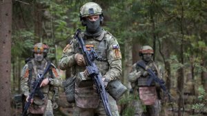 СВОДКА с ФРОНТА на 29.12.2025