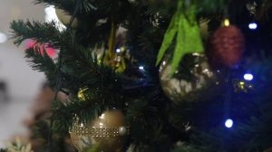 Новый год в санатории АО "Адлеркурорт" 2025