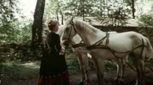 Разлука. "Вперед гардемарины !"