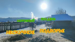 Хлопоты по хозяйству.