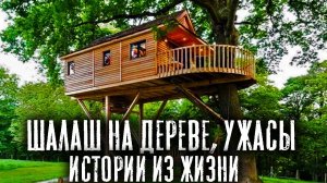 ШАЛАШ НА ДЕРЕВЕ, УЖАСЫ - Сборник историй из жизни