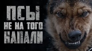 Страшные истории на ночь - ПСЫ - Страшилки на ночь