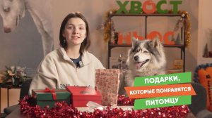 Что подарить питомцу на Новый год?