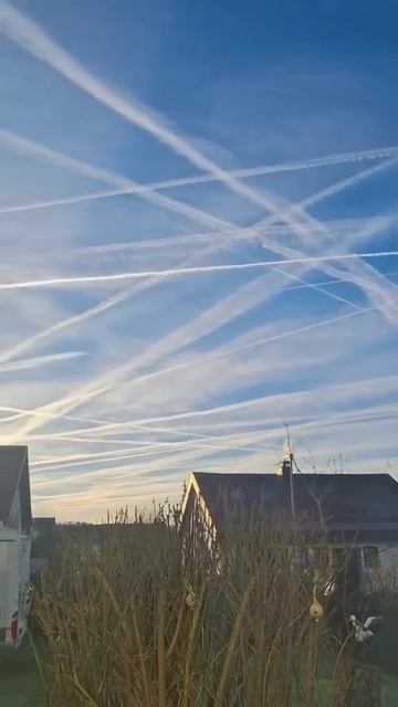 Распыляют на вас... смотреть онлайн