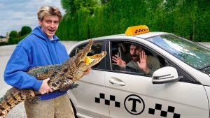 ЕДУ В ТАКСИ С ЭКЗОТИЧЕСКИМИ ЖИВОТНЫМИ! **КРОКОДИЛ**