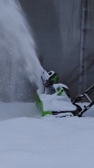 деревенские забавы