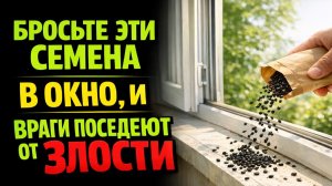 Бросьте горсть семян в окно, и враги начнут сыпаться: древний ритуал против сглаза и порчи