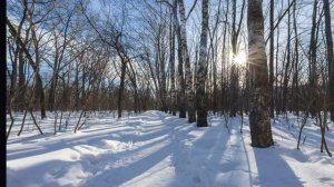 ПОДНИМЕМ ТОСТ ЗА СТАРЫЙ ГОД
