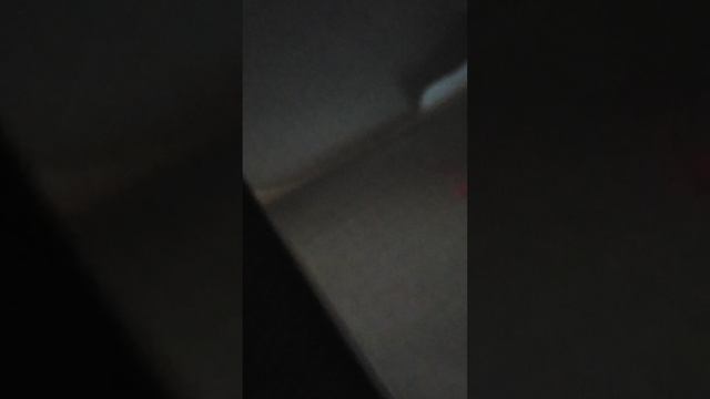 VID_20251229_114223.mp4