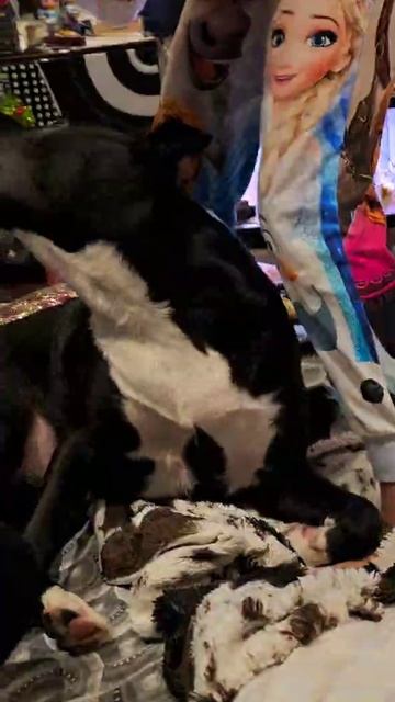 Не надо дядя