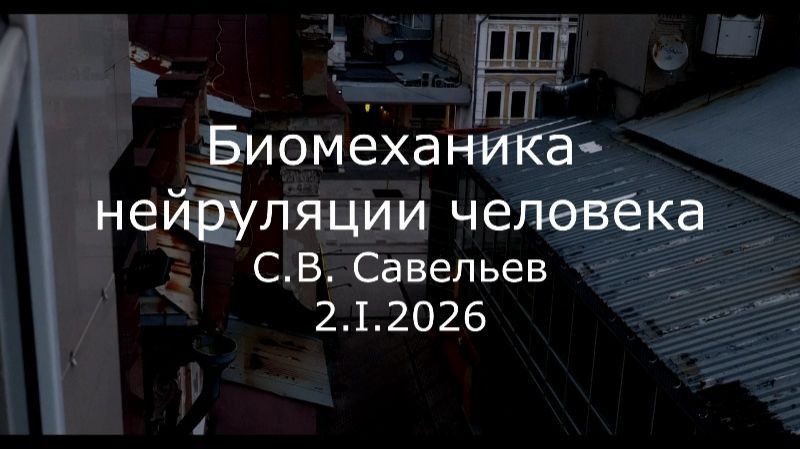С.В. Савельев - Биомеханика нейруляции человека смотреть онлайн