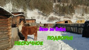 Вечерняя уборка.