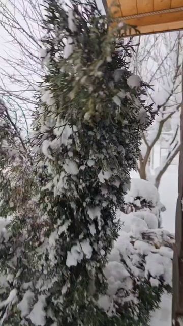 Крым РЕКОРДНЫЙ СНЕГОПАД УЖЕ 40 СМ А ЗНАЧИТ КРЫМ БУДЕТ С ВОДОЙ смотреть онлайн