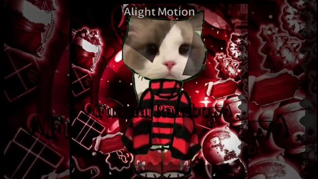 Анимка котика // у кого лучше? у меня или у моей сестры?