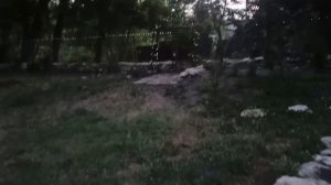 11-13 июля 2025г.Выживаю в жару +38.Собираю очередной урожай.