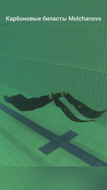 Кубок Санкт-Петербурга 2025 по АПНОЭ, фридайвинг