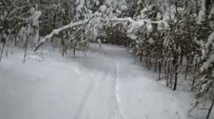 Декабрьская прогулка на мотоснегокате 2025