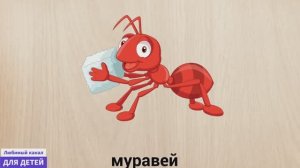 Мультики для детей / Мультики про животных - Изучаем животных (11-12)