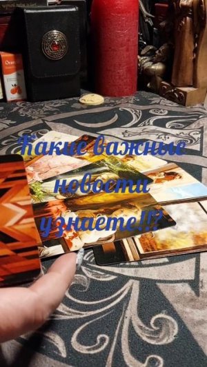 Таро знает ответ