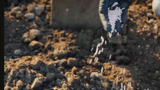 Выращивание водорослей в Намибии!