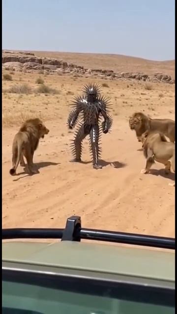 сумасшедший мужчина-кактус 2 смотреть онлайн