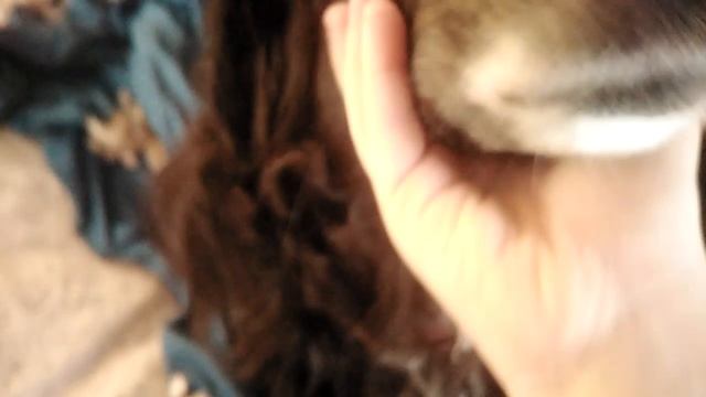 VID_20251229_102101.mp4 смотреть онлайн
