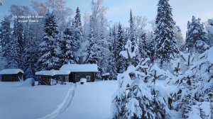 С наступающим новым 2026 годом. Срубил новогоднюю ёлку.