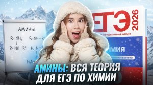 Амины на ЕГЭ по химии, вся теория | Органика с нуля | Умскул