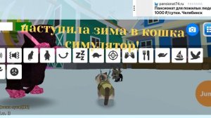 ЗИМА В КОШКА СИМУЛЯТОР!