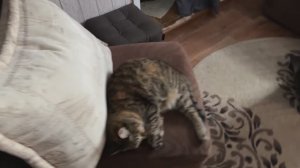 ЧТОБЫ НЕ НАСТУПАТЬ НА ОДНИ И ТЕ ЖЕ ГРАБЛИ, ПРОНУМЕРУЙТЕ ИХ!