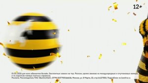 1 января — без забот о минутах