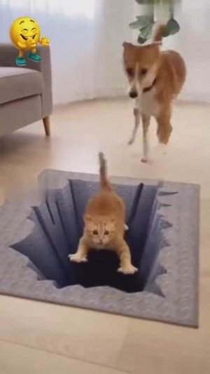 Коты и Собаки 🥳🐕🔥