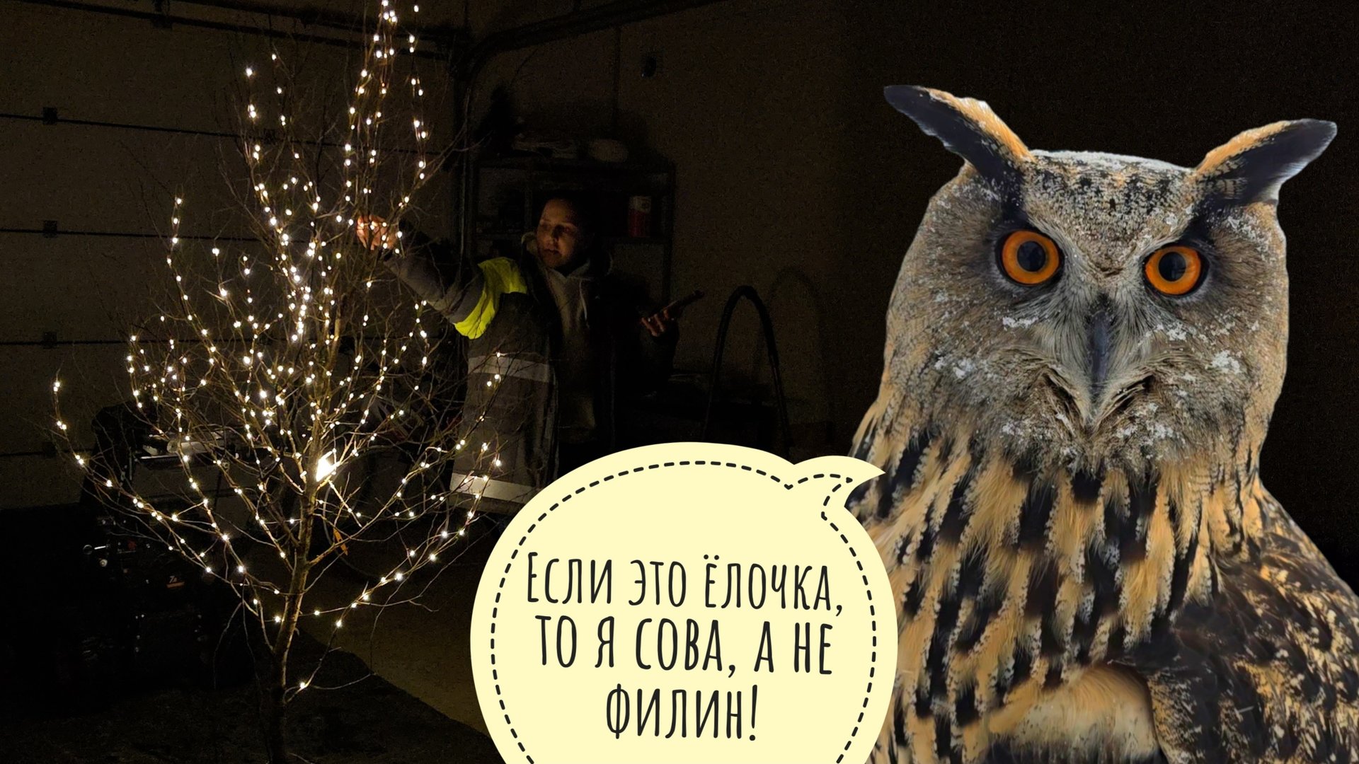 Пёс Кубик получил кость своей мечты. Взаимоарбузинг с Артёмом. Намотали огоньки на березёлку из леса смотреть онлайн