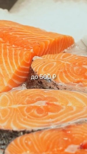 Сом, форель, осётр — три самые прибыльные рыбы в России. Идеально подходят для выращивания в УЗВ!