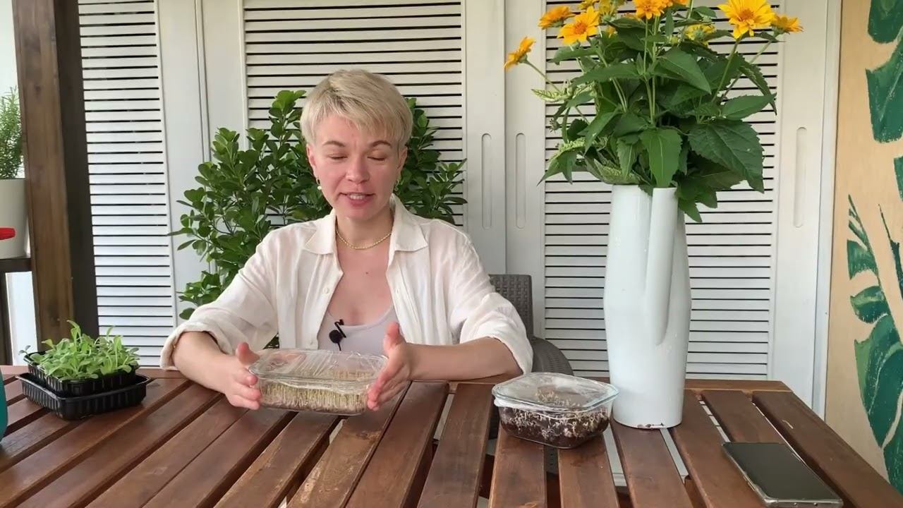 Магия Микрозелени. Урок 5. Выращиваем на коврике. смотреть онлайн