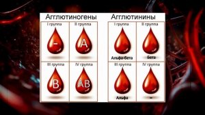 Люди с отрицательным резус-фактором: что в них особенн