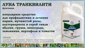 Луна Траквилити - средство от болезней плодовых, ягодных, картофеля и томатов. Обзор 2026 года