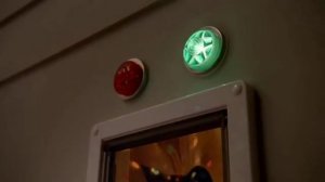 Производители корма Temptation напоминают, что Рождество и Новый год не только для двуногих.