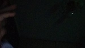 Просто разговариваю