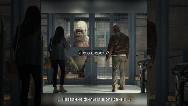 Убил медведя гризли самого сильного хищника на пла смотреть онлайн