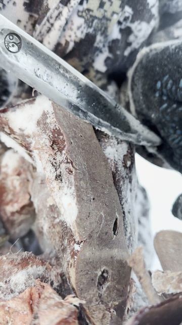 Деликатесы Якутии в -50С