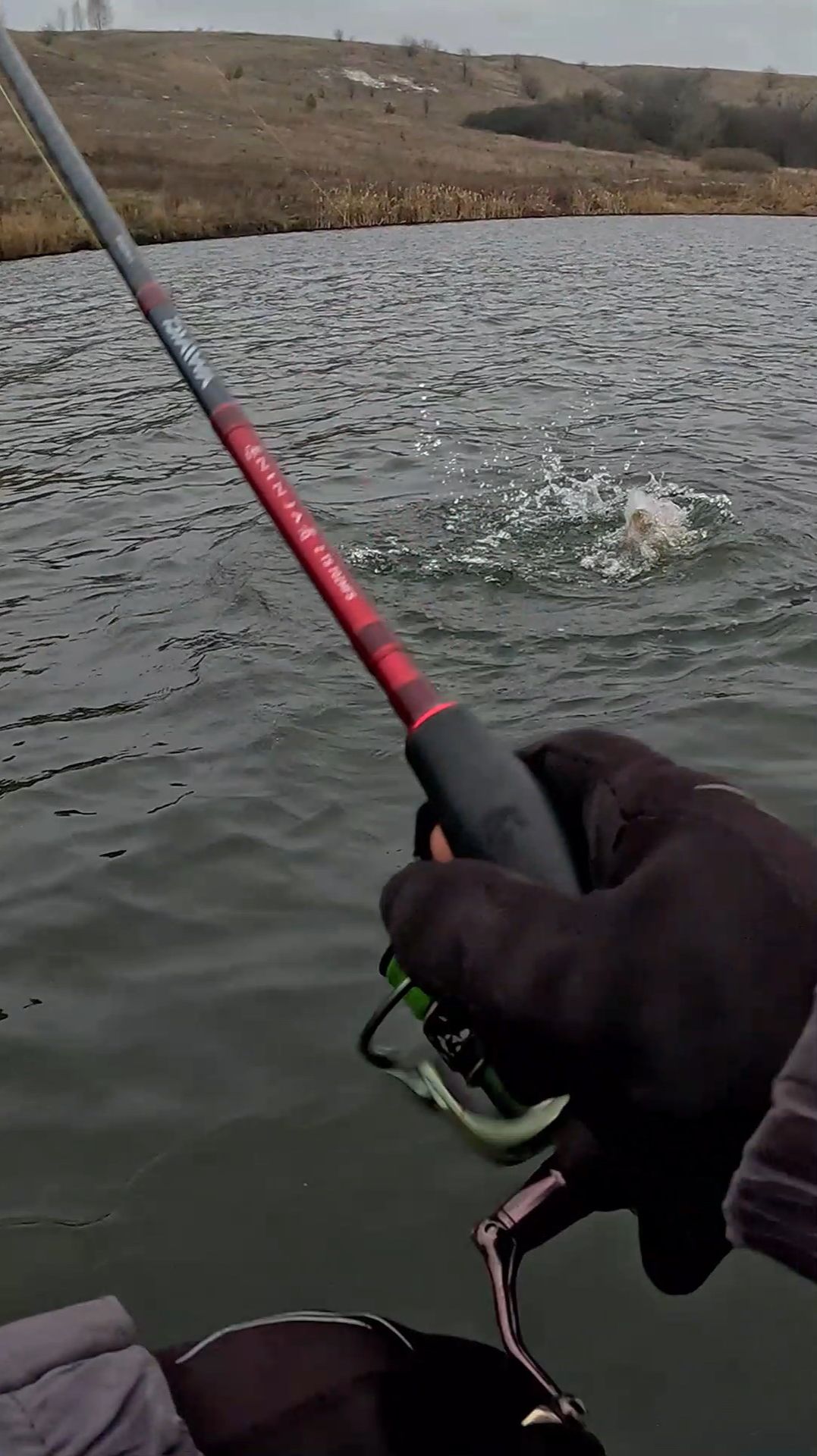 А ты пробовал так быстро? Щука не успела подумать! 😎💪💥 #щука #спиннинг #ловлящуки смотреть онлайн