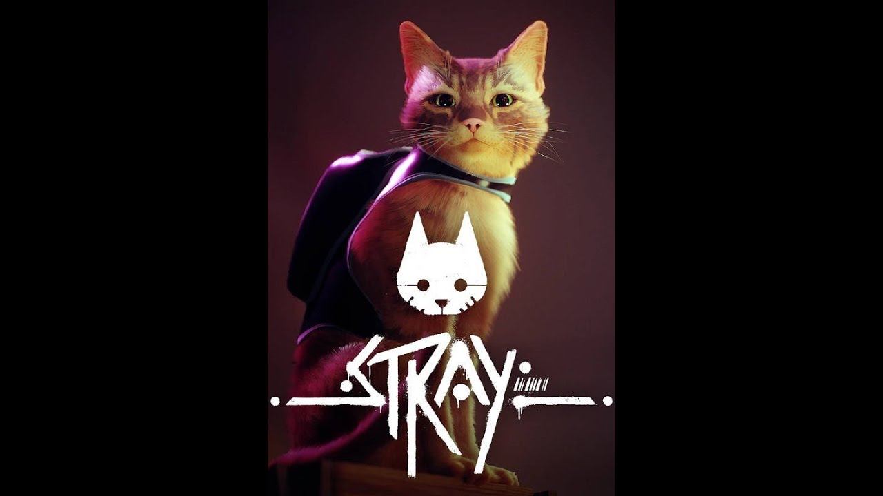 Stray#6