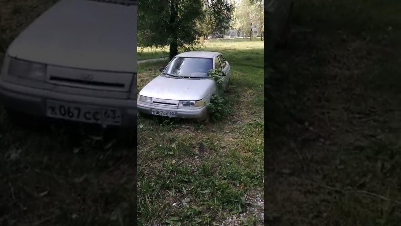 Дерево сквозь авто #shorts смотреть онлайн