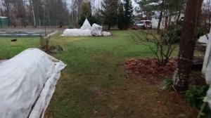 Поездка на дачу. 27 декабря. Ленинградская область.