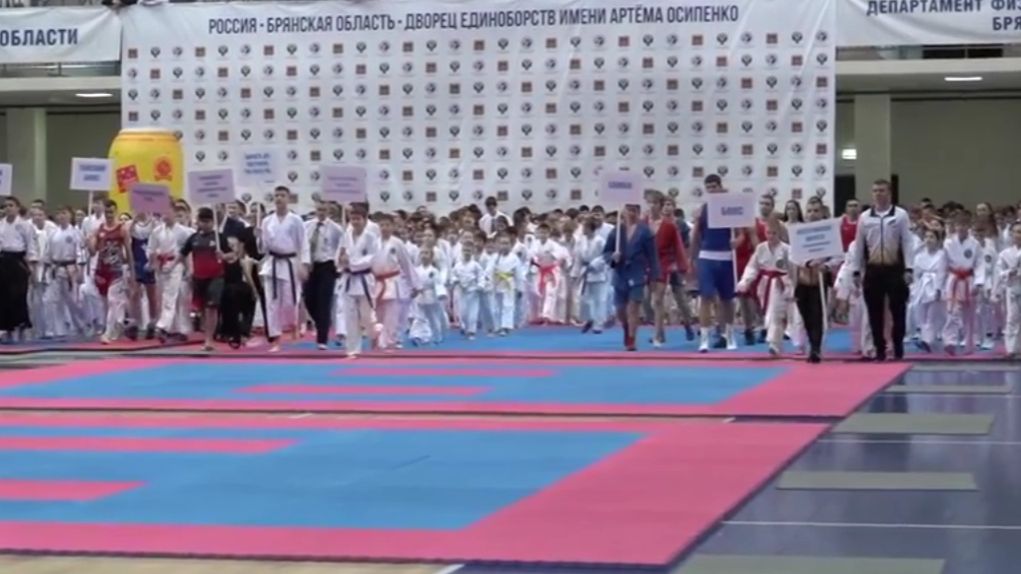В Брянске стартовали юношеские игры боевых искусств во дворце Осипенко смотреть онлайн