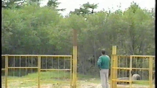 фильм смотреть онлайн